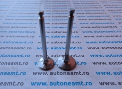 SUPAPA ADMISIE EVACUARE YANMAR 2TNE68 3TNE68