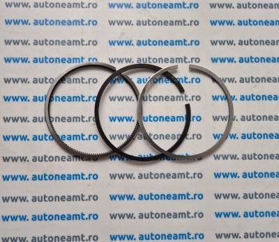 SEGMENTI YANMAR 3T70
