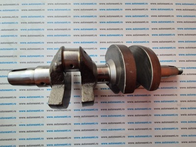ARBORE COTIT RUGGERINI RD210